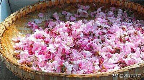 如何自制桃花茶,桃花茶的正确喝法