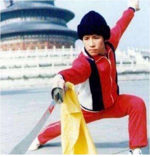 甄子丹：摸爬滚打37年，终凭《叶问》成为巨星，始终怀揣中国心