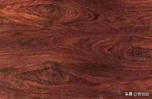只有这七类木材才是真正的花梨木，教你火眼金睛“识花辨梨”！