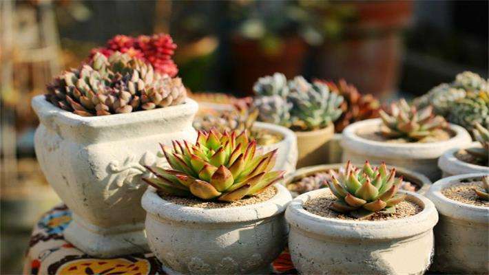 提升家庭幸福感的精致好物,一百件提升幸福感精致租房好物