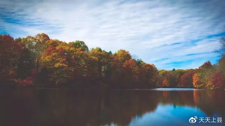 广西枫叶林观赏季节,广西赏枫叶的地方