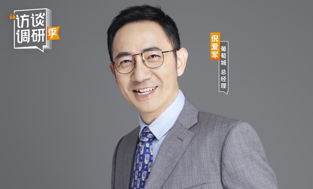 数据猿专访葡萄城总经理倪爱军：低代码，未来可期