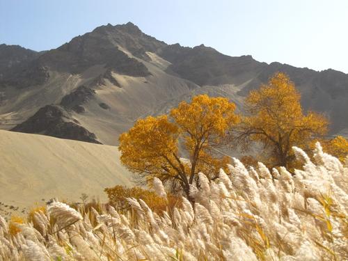 下一个假期去哪里？那些影视剧中宛如仙境的地方，不可以错过