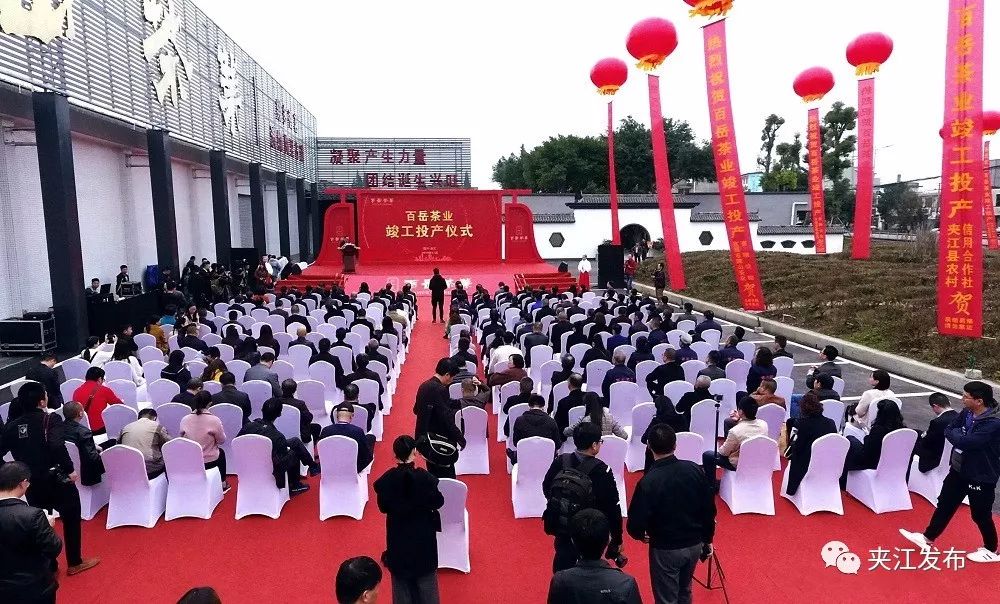“百岳”来了！全国第一条立体布局出口绿茶生产线在夹江投产