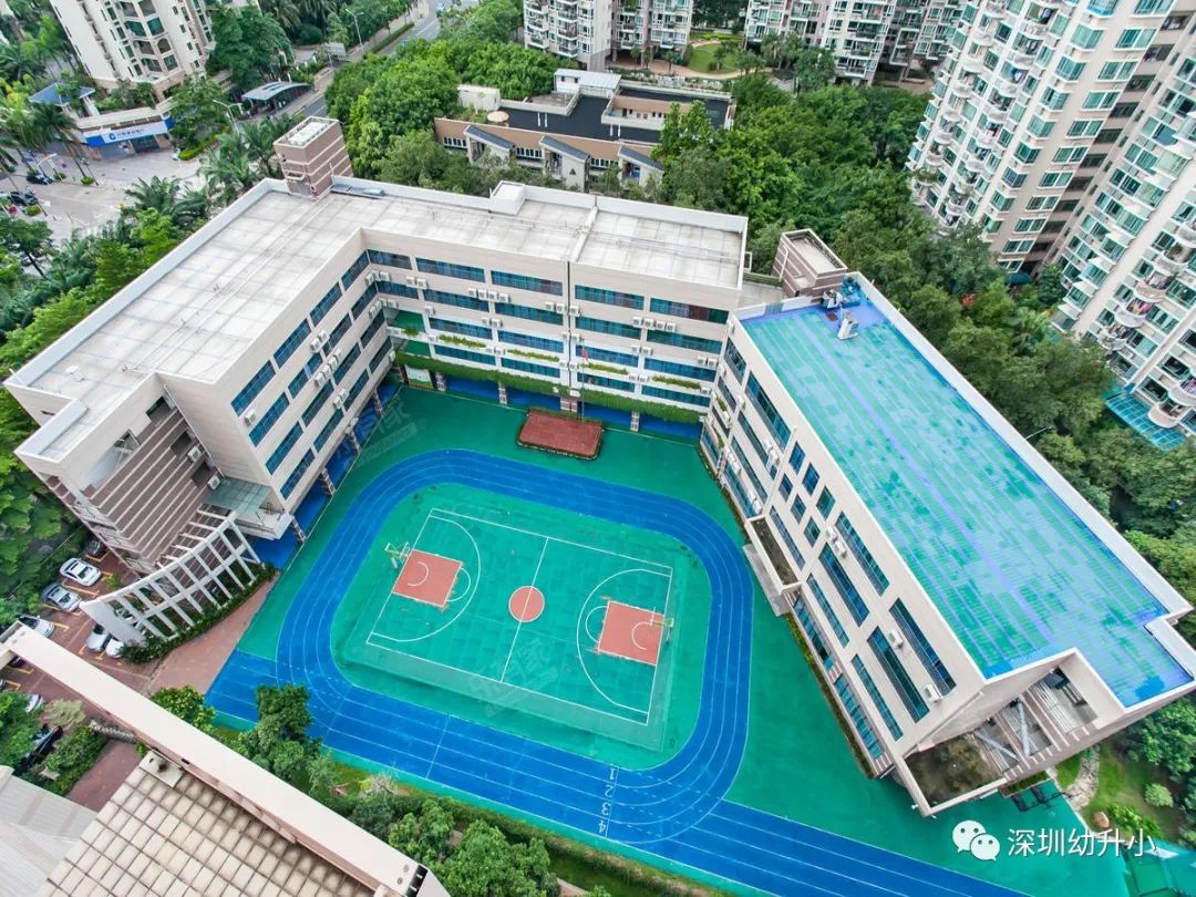 深圳top10学校,深圳初中十大名校排名