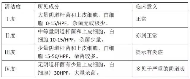 白带常规bv报告如何看,白带常规检查教学视频