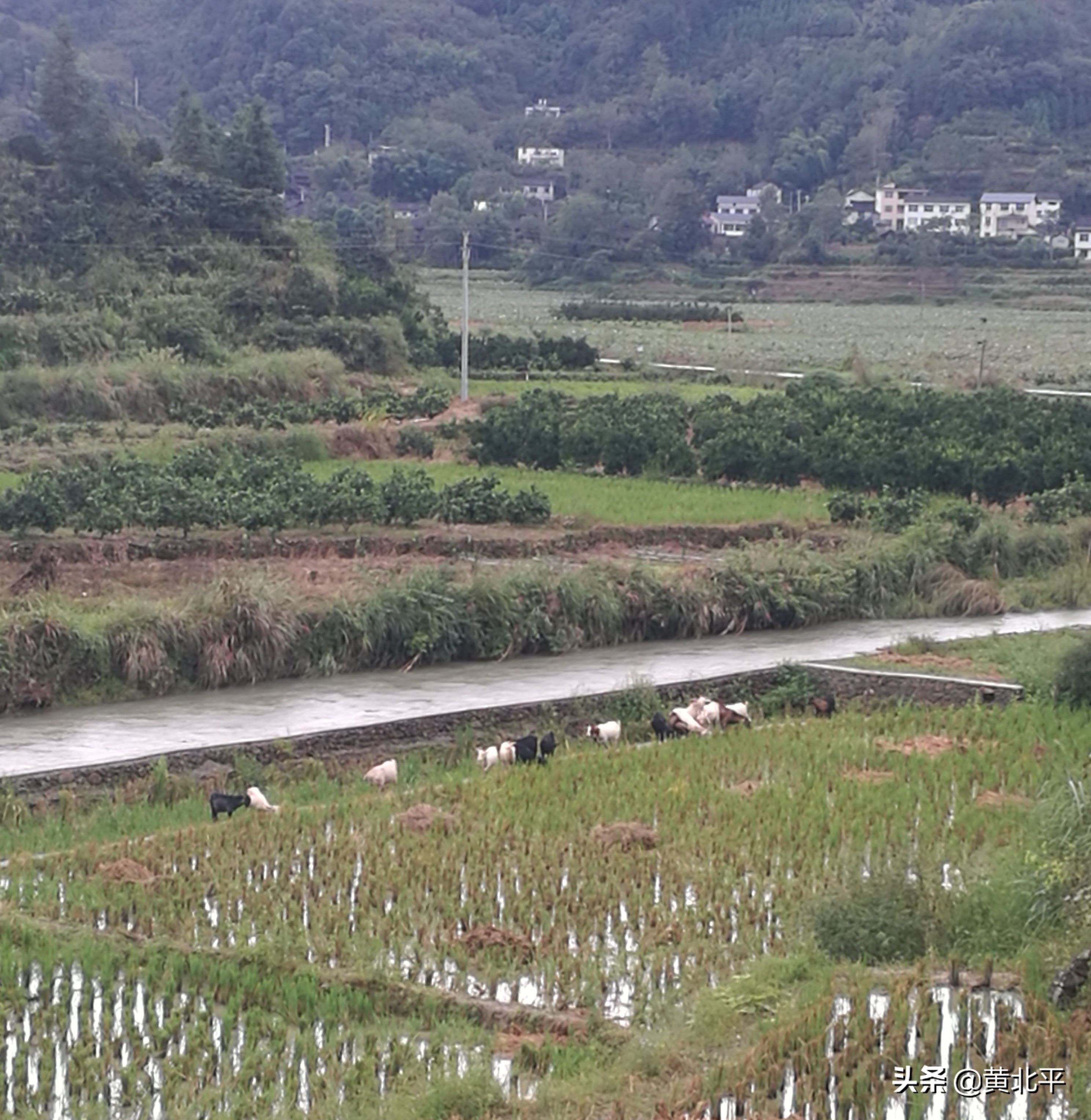 重庆秀山石堤镇保安村,秀山保安乡新农村