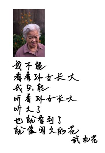 傅拥军的作品,傅拥军案例