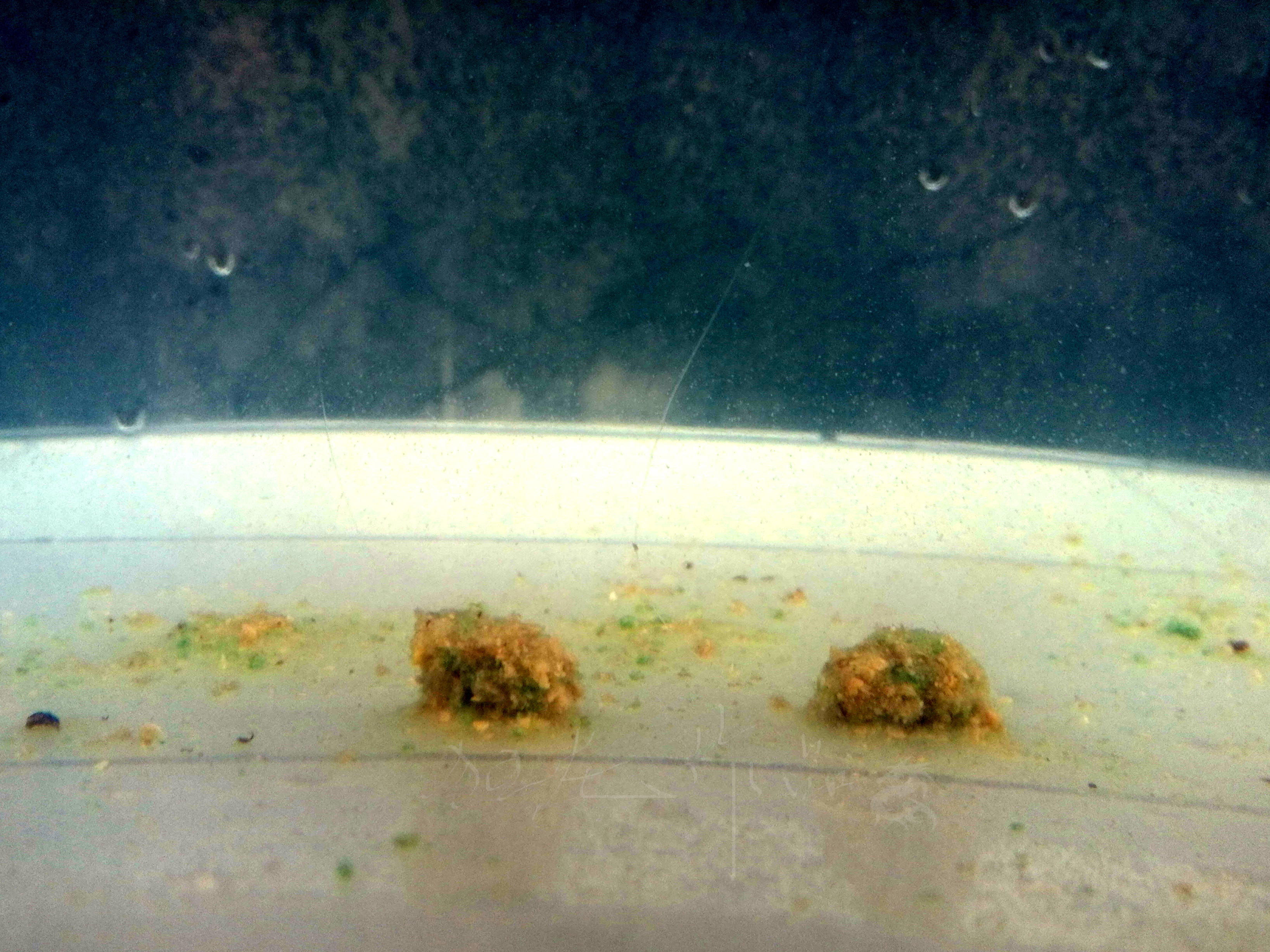 悬浮触底躺底三种状态,悬浮状态和漂浮状态