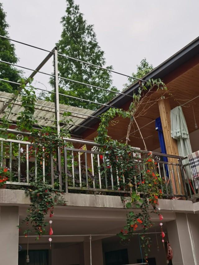 疫情下农家乐有哪些,疫情下农家乐