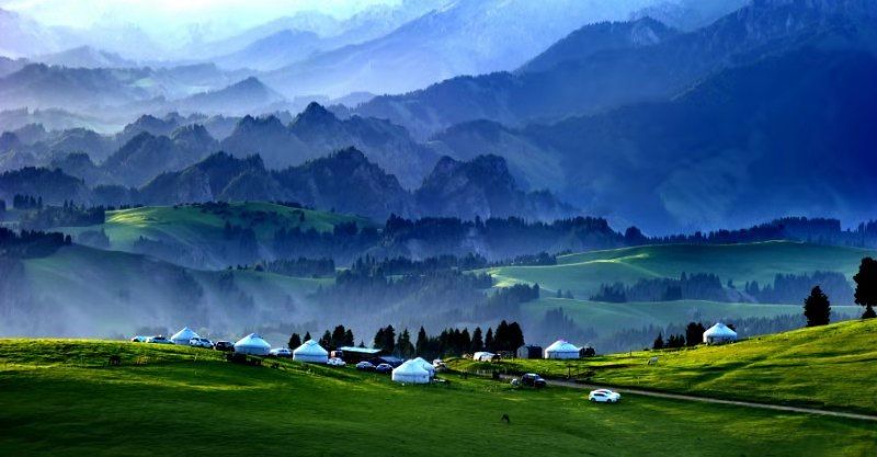 清真大盘鸡为什么贵,新疆大盘鸡到底好不好