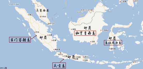 燕窝知识儿童篇,你不知道的营养知识