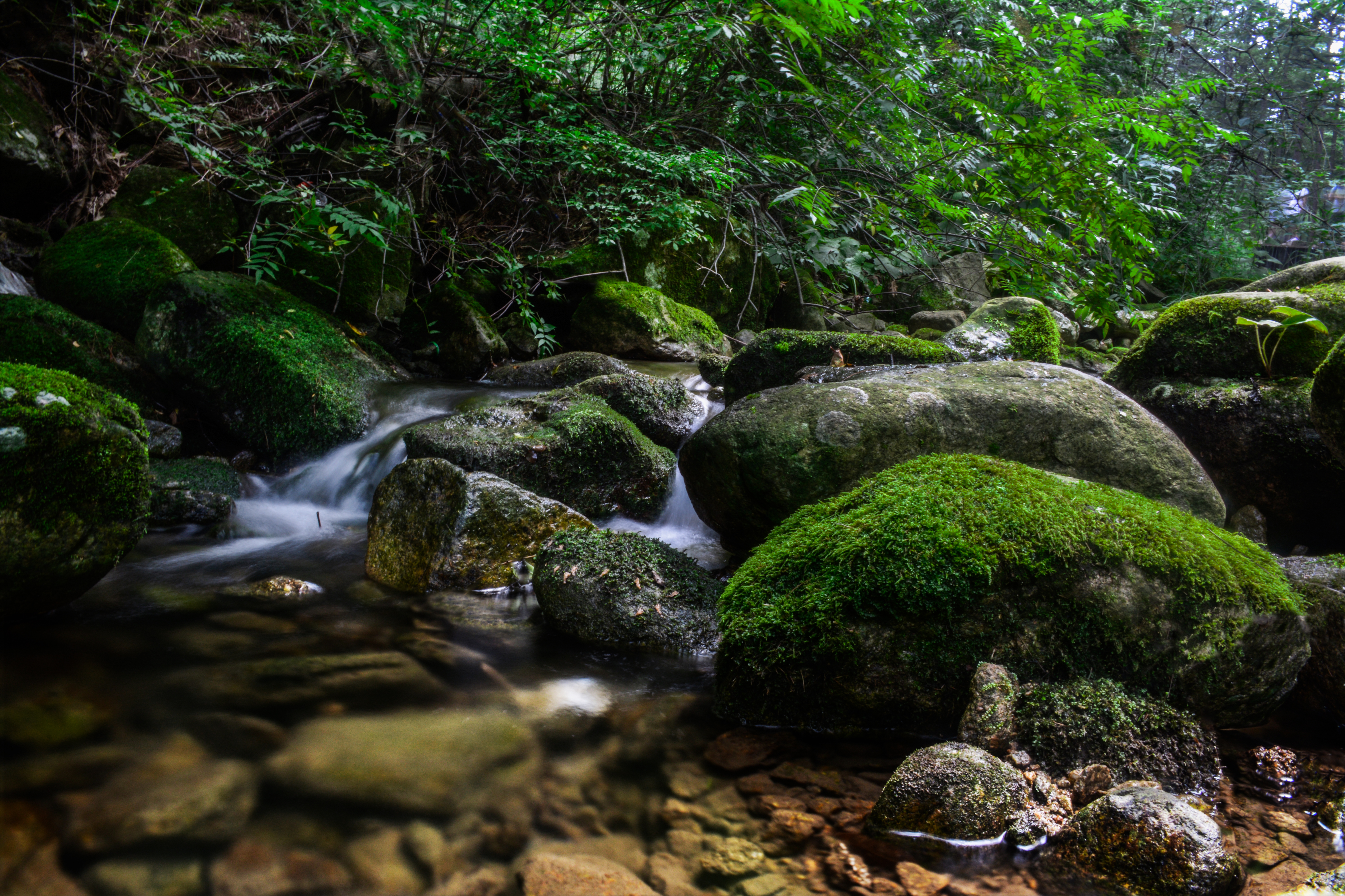 重渡沟，自驾避暑胜地，感受千年古都背后的宁静