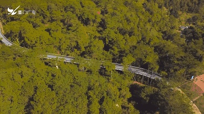 春节厦门自由行5日游攻略,春节厦门自由行攻略亲子省钱