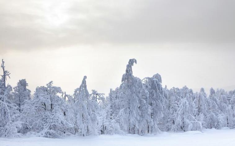 冬天去海南旅游哪里比较好,适合冬天去但不冷的景点
