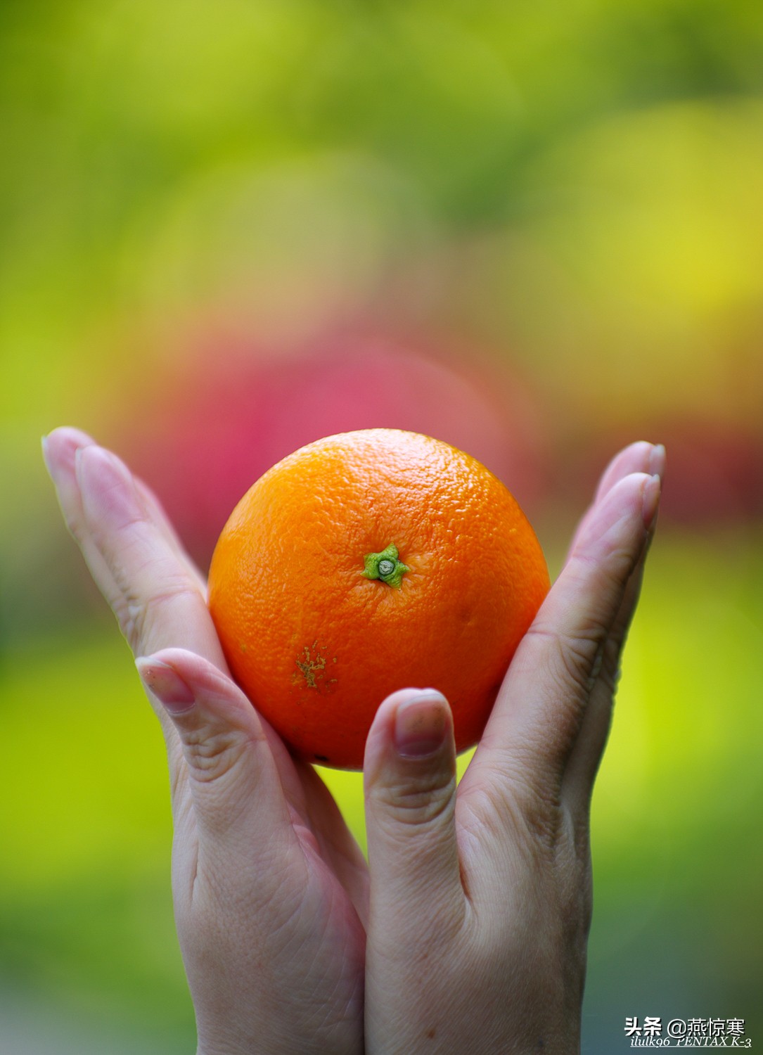 宾得理光镜头通用吗,宾得理光手动镜头推荐