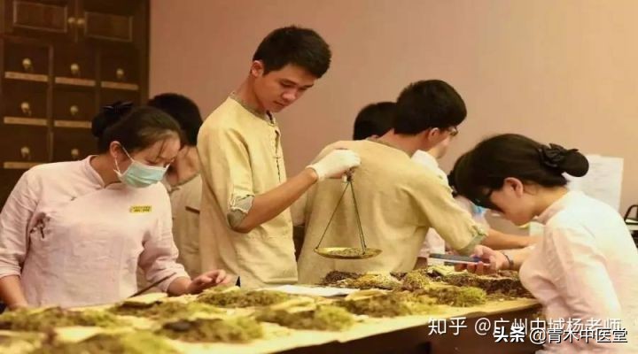 做中医理疗学徒有前途吗,做中医学徒是什么体验