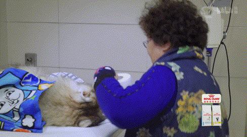 b站高分历史纪录片,2分钟一集的b站纪录片