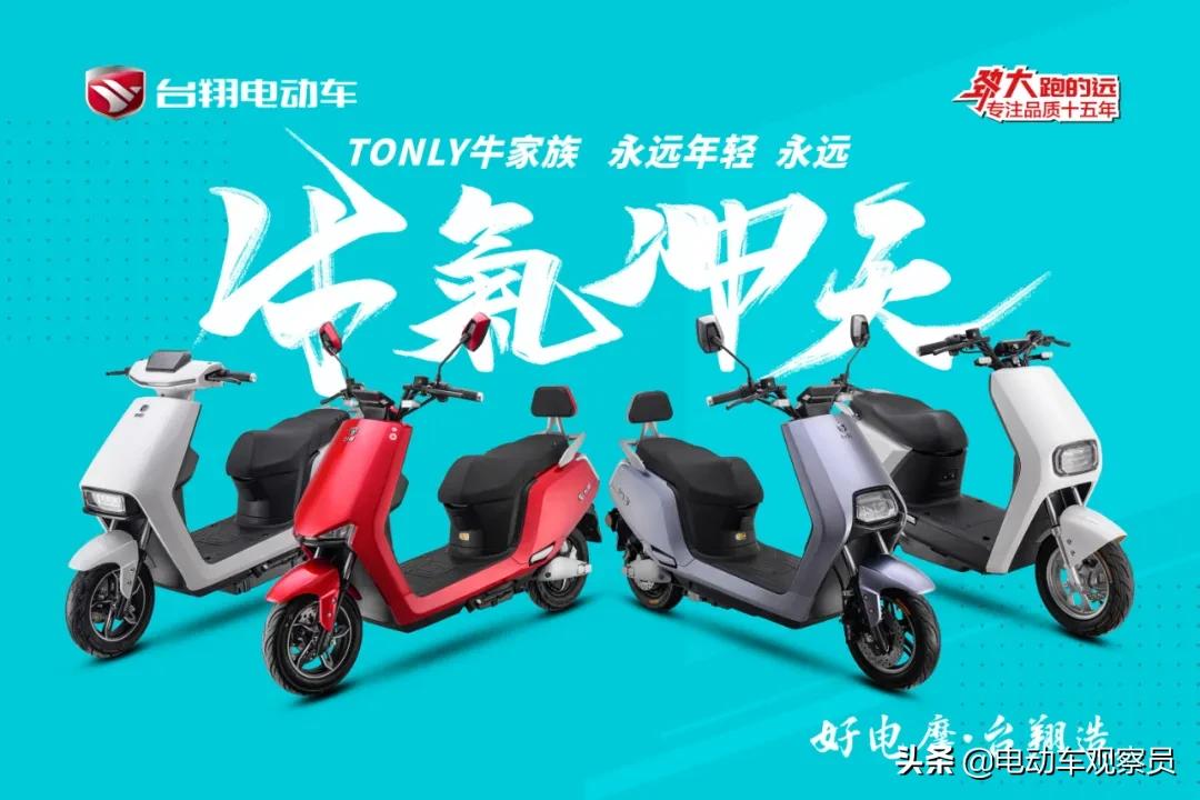 台翔最好的一款电动车,台翔最新款电动车