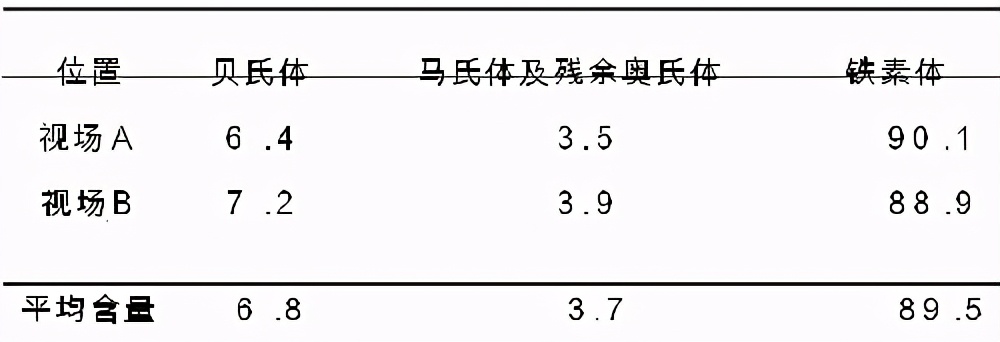 金相显微分析,彩色金相组织图谱