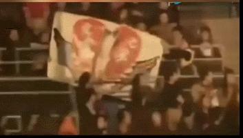 田震多年后对那英的评价,多年后田震评价那英