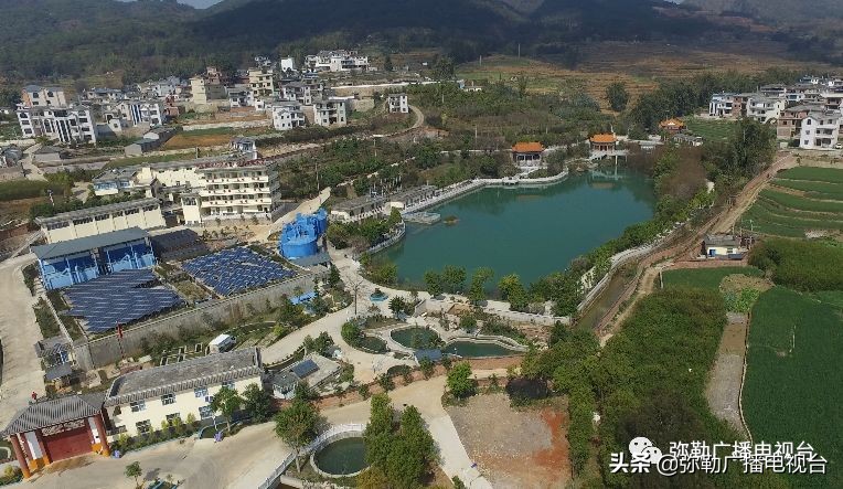 赞！弥勒这几家公司：减免摊位费，免费送餐、送菜，送消毒水...