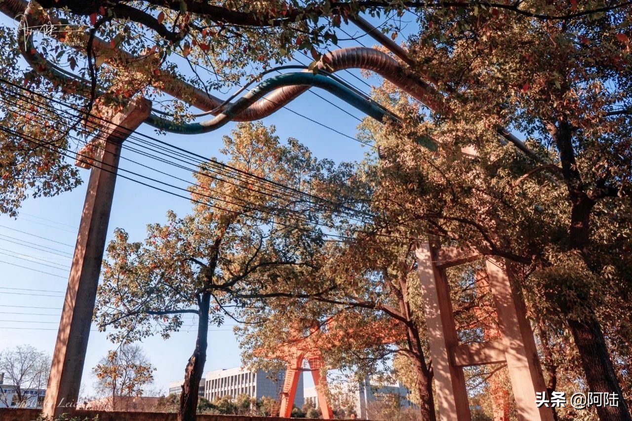 杭钢现状,曾经的热闹非凡如今的冷冷清清