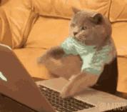 化妆师综艺陈都灵,陈都灵认出化妆师