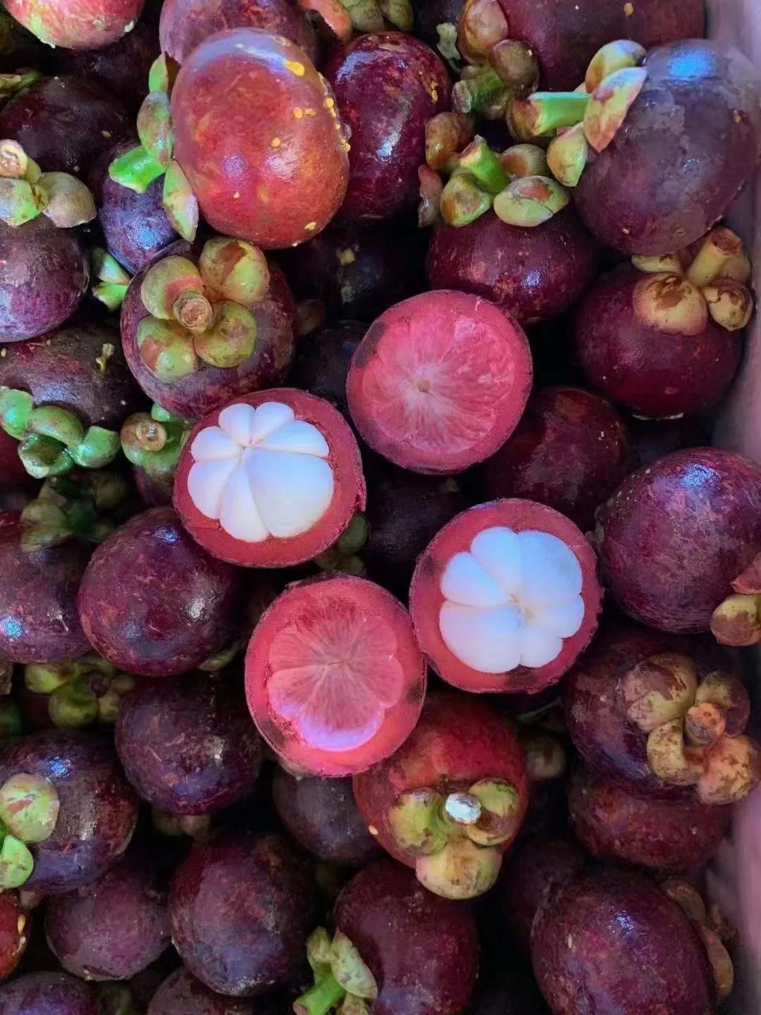 山竹水果几个产地的品种,热带水果山竹什么时候上市