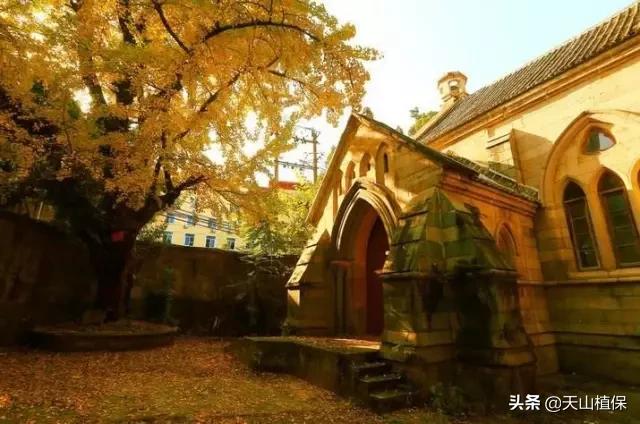 昌吉市最新城市发展规划,乌鲁木齐和昌吉是否相邻