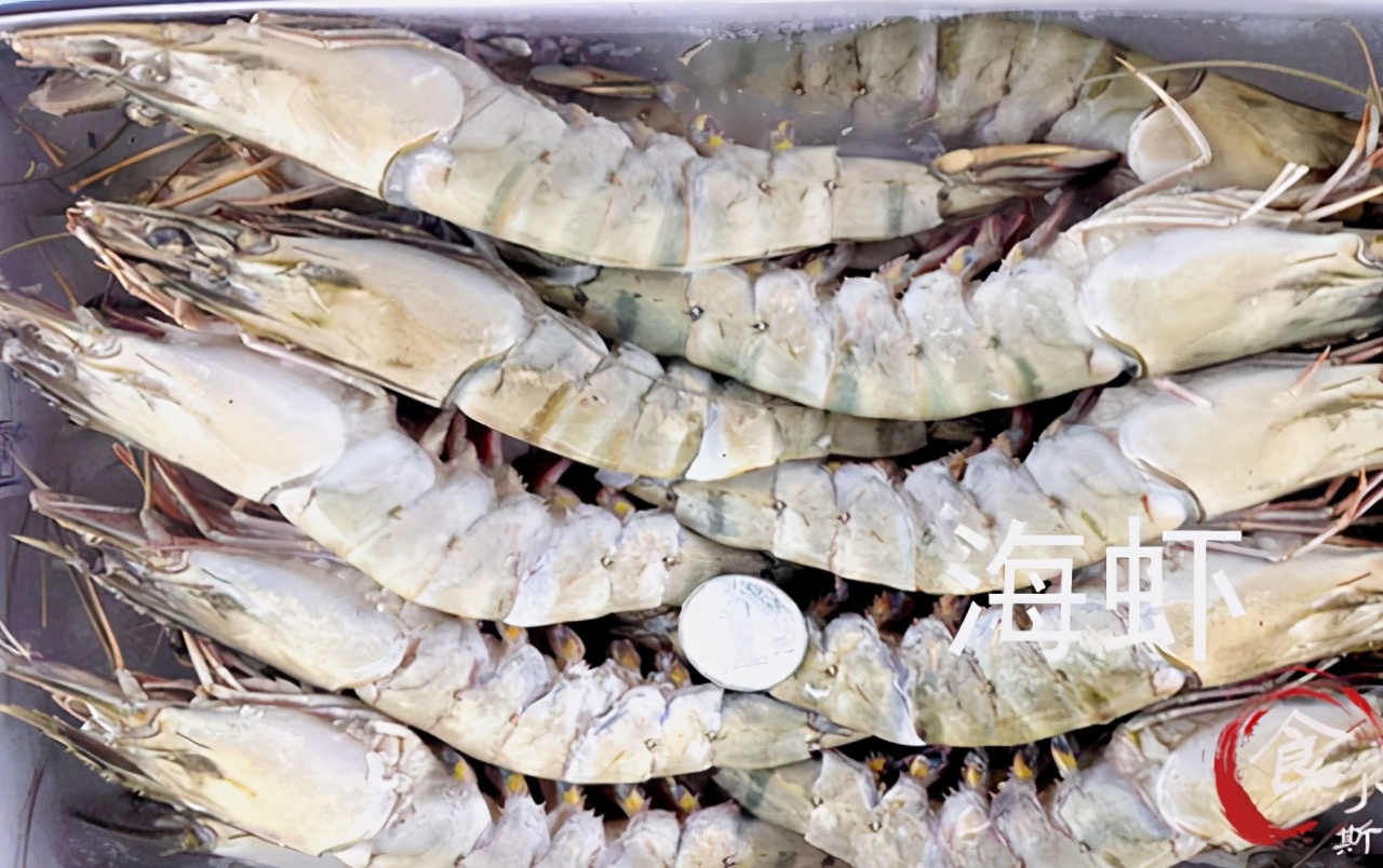 海捕虾和养殖虾的区别,买虾不可以挑大小吗