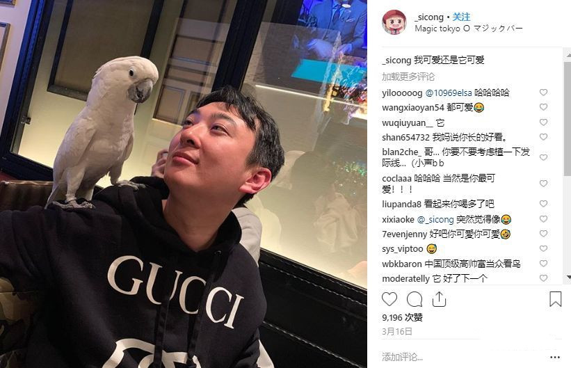 王思聪买的宠物鸭,王思聪买的鸭子