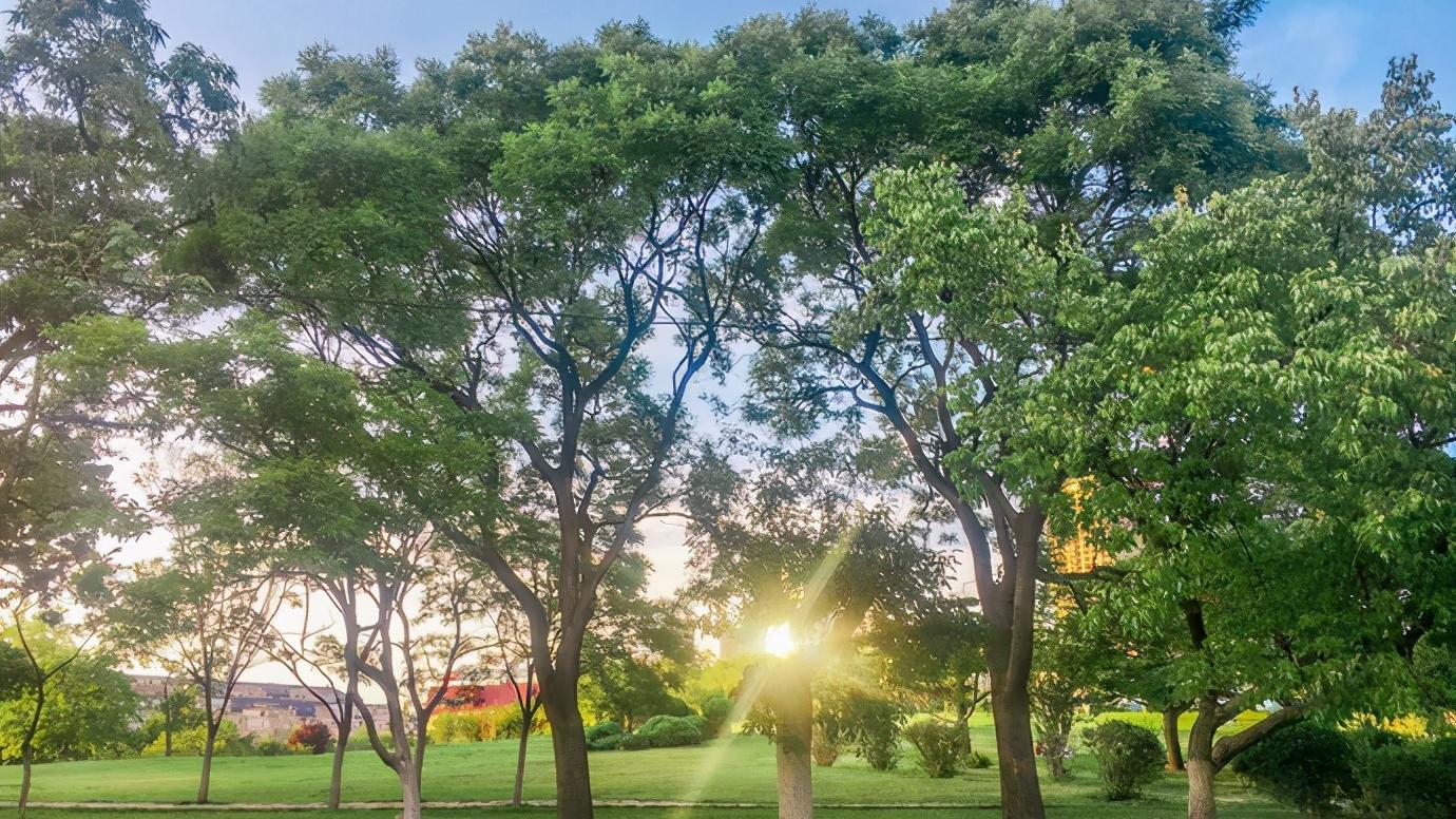 辽宁省大连市都有什么区,辽宁省大连市几个区
