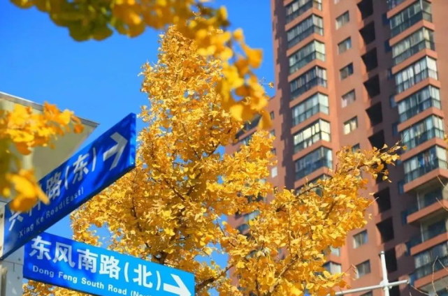 比大理丽江还美的地方,比大理丽江更值得去的地方腾冲