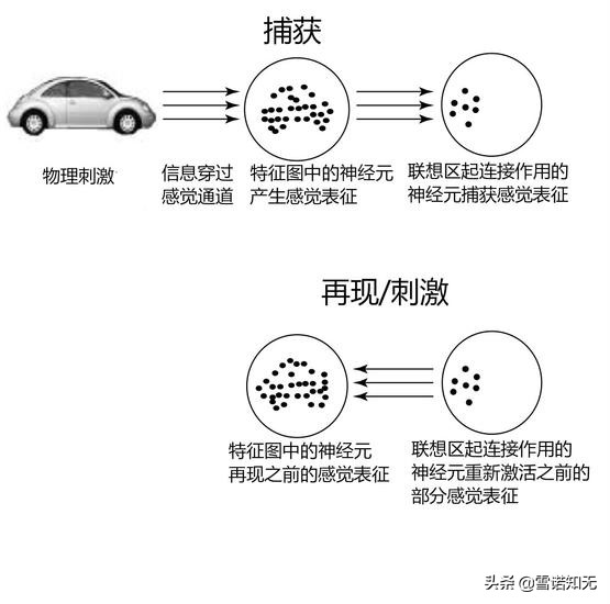 kindle是不是最好的电子书,kindle电子书的普及情况