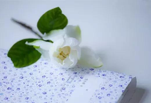 刁问妙答（绝妙）