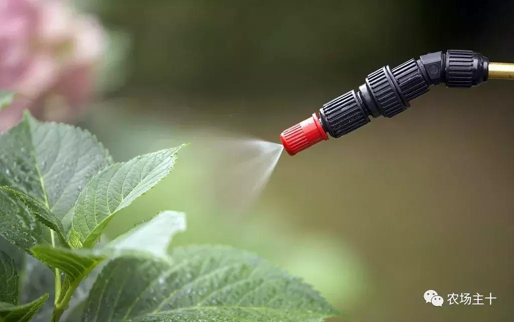 有机农业的真实现状,有机农业的惊天骗局