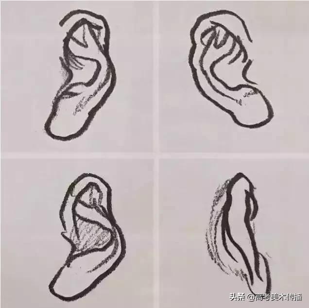 速写五官技法,速写五官的画法精讲