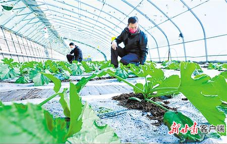 决战决胜脱贫攻坚原文,脱贫攻坚书写收官答卷