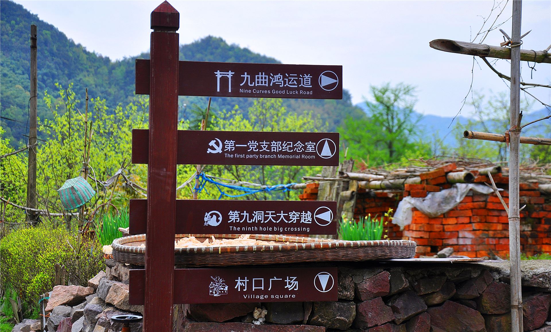 丹山赤水的老柿林景区,丹山赤水柿林古村