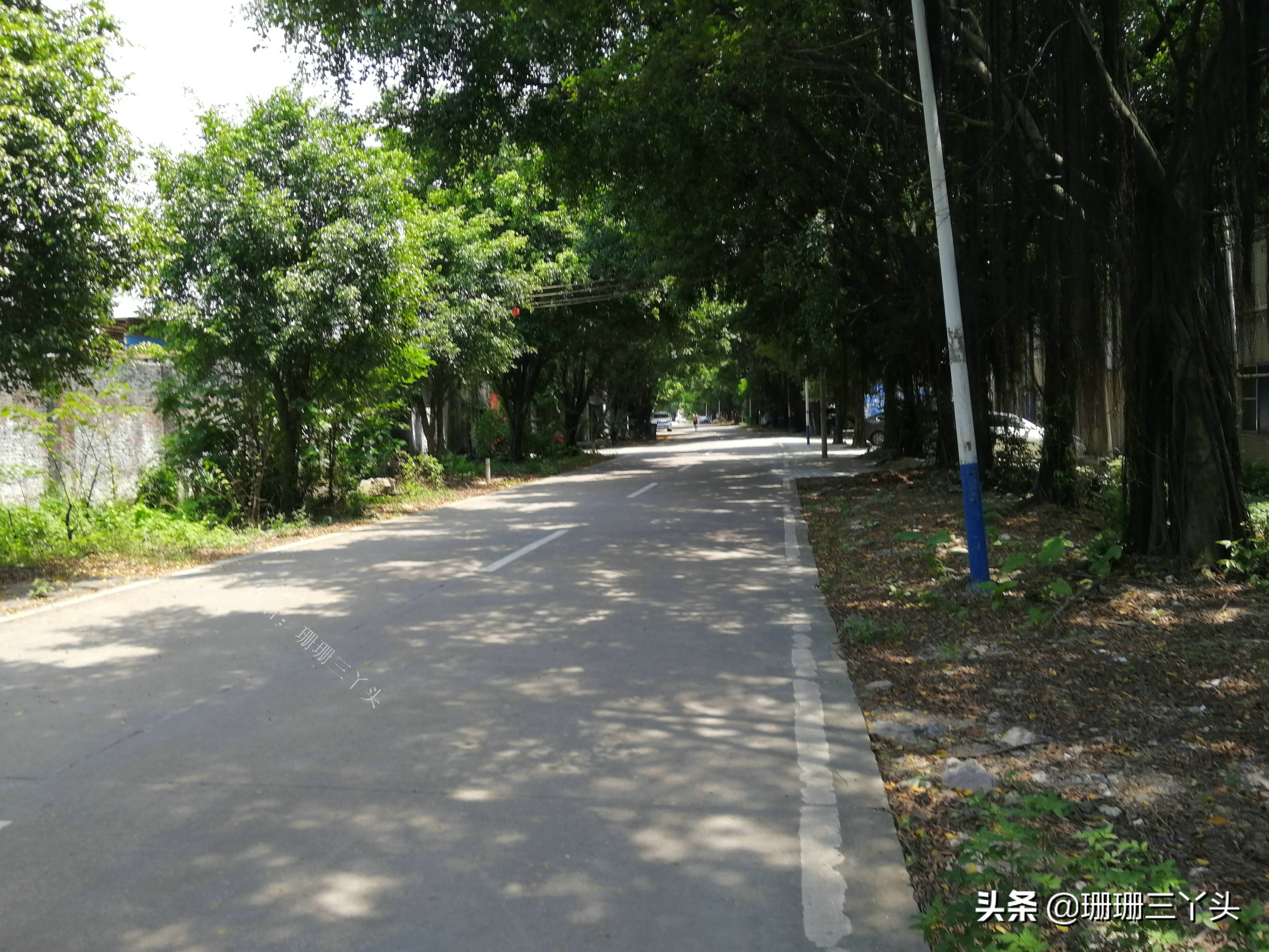 广州郊外古村，村始祖如何从养鸭专业户，到建“人才辈出”村子