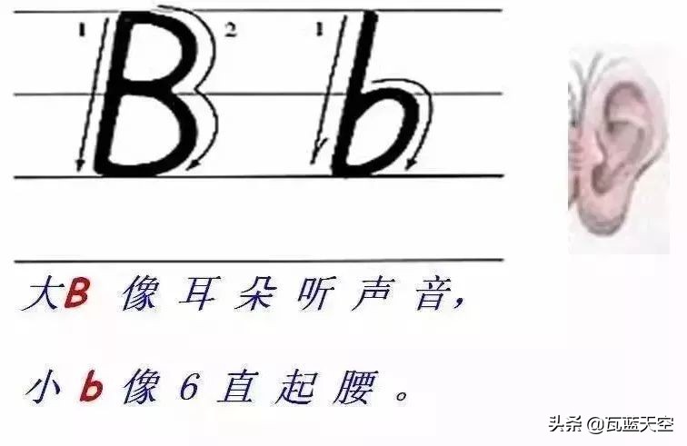 26个英文字母正确书写规范教程,26个英文字母正确发音快速记忆法