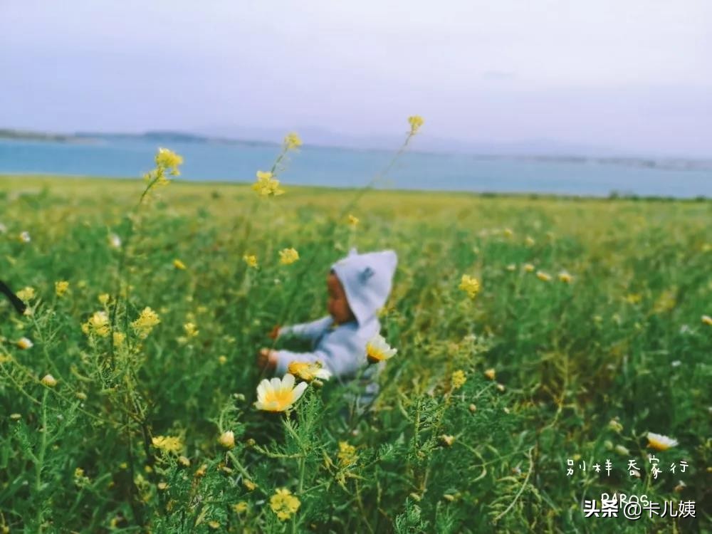 我眼中的俄国人和中国人,希腊人对中国人有什么印象