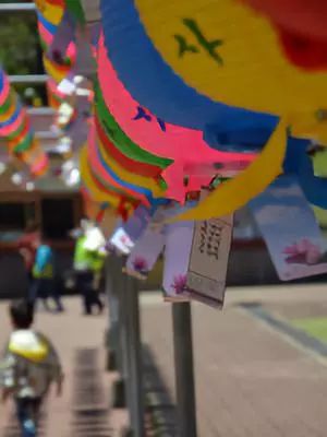 韩国曹溪寺旅游攻略,11月底韩国首尔旅游攻略