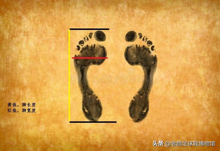 新手入门足球鞋怎么选,网购100元左右的足球鞋