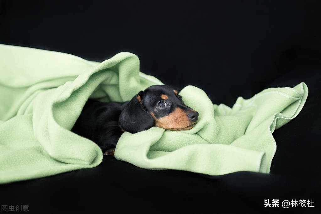 旧衣服改造100种方法大全,如何对旧衣服进行升级改造