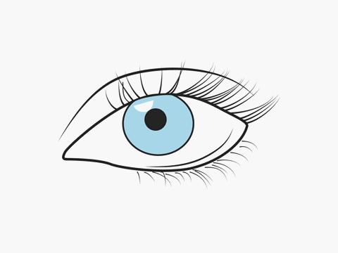 每日一招眼睛疲劳后的护眼措施,5个简单却有效的护眼技巧