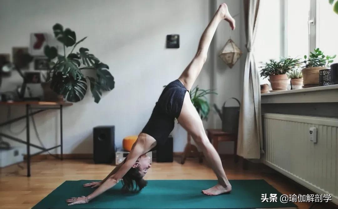 最简单的瑜伽动作初学者,最简单的瑜伽动作刚入门