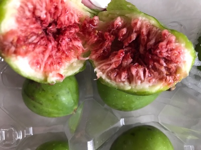 无花果使用什么农药防病虫害,无花果树叶病虫害识别与防治技术