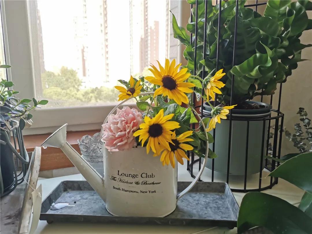 从摆地摊卖花到开实体店,从摆摊卖花到开店